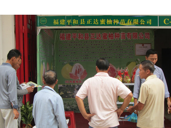 參加廣西百色苗木會(huì)展