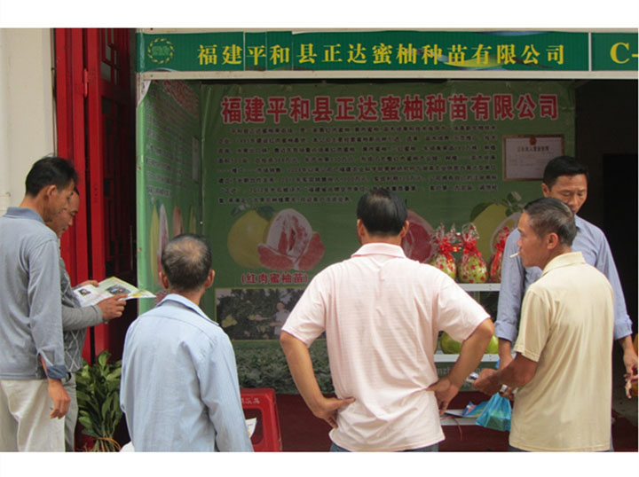 廣西百色苗木展會(huì)