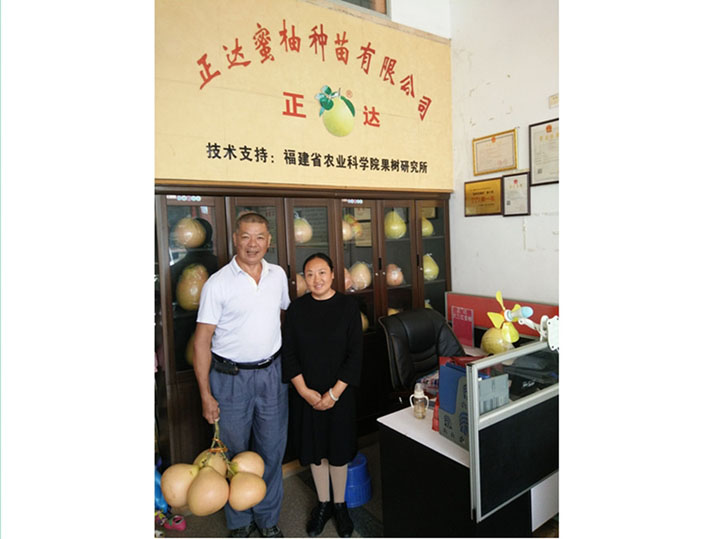 宜春市客戶來我司現(xiàn)場購三紅柚子苗千多棵丨江西哪里有三紅蜜柚苗丨江西柚子苗哪里有
