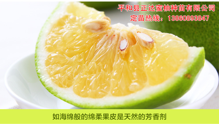 葡萄柚的種植管理方法，甜葡萄柚苗適合哪里種植
