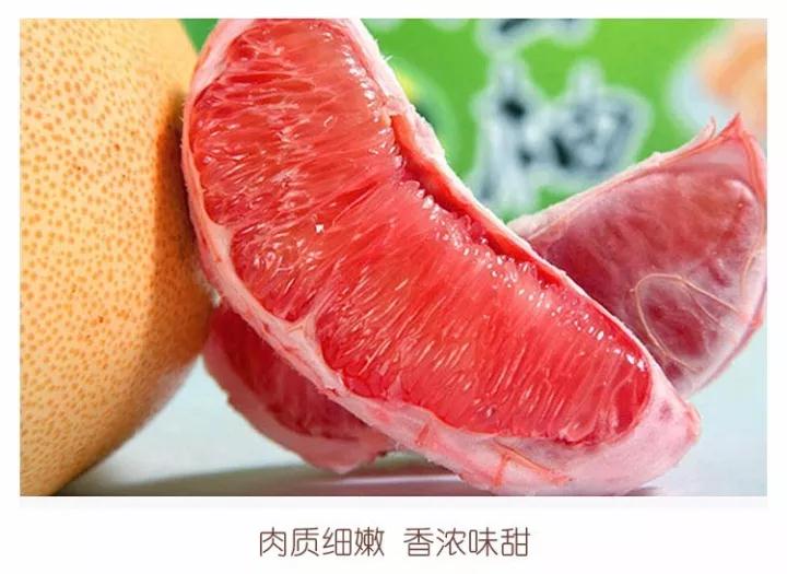大三紅蜜柚母樹丨供應大三紅柚子苗丨哪里有兩年生大三紅柚子苗