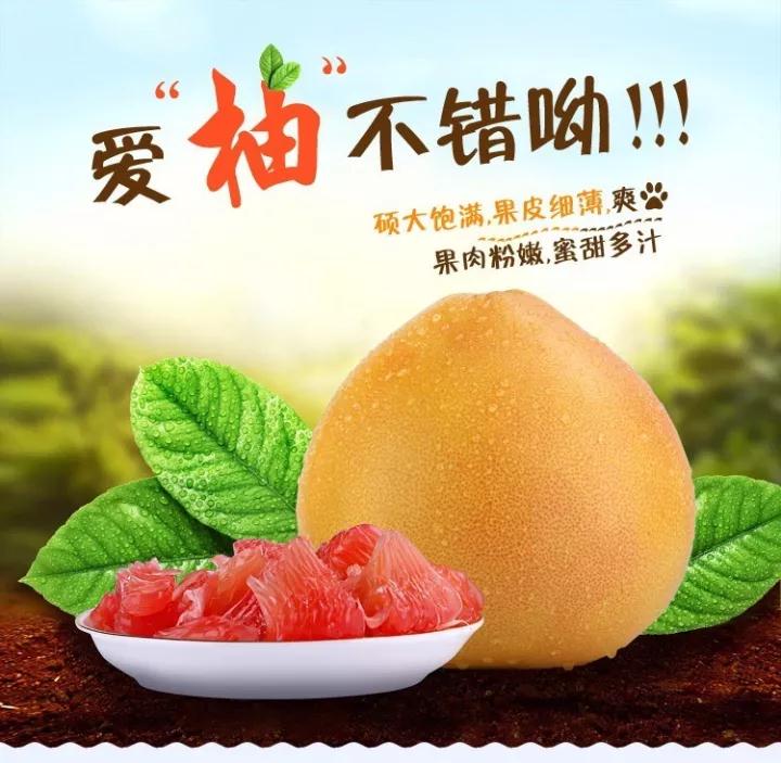 平和縣正達大三紅蜜柚成熟啦！