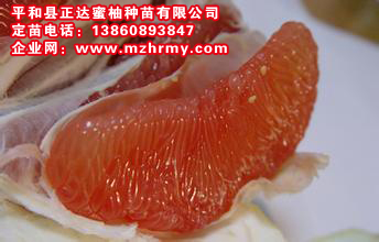 u=4164833559,393978936&fm=21&gp=0.jpg