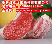 u=1592573199,520652328&fm=21&gp=0.jpg