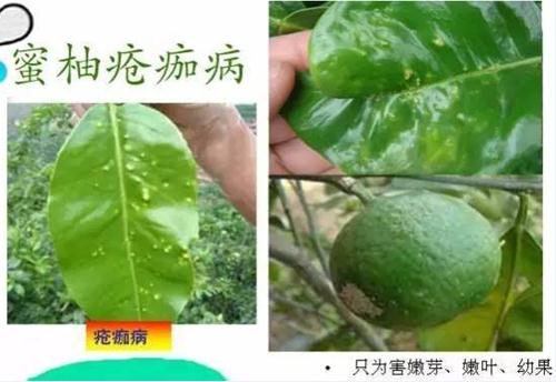 微信圖片編輯_20180719142119.jpg